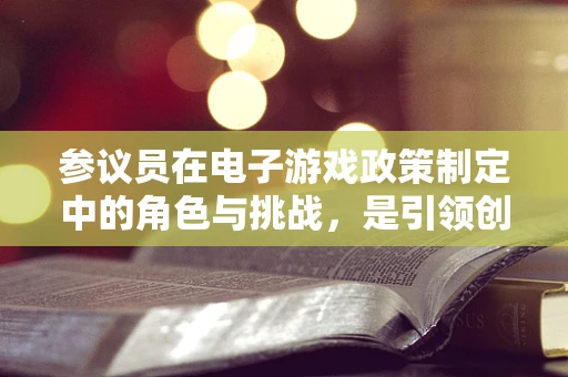 参议员在电子游戏政策制定中的角色与挑战，是引领创新还是保守守旧？