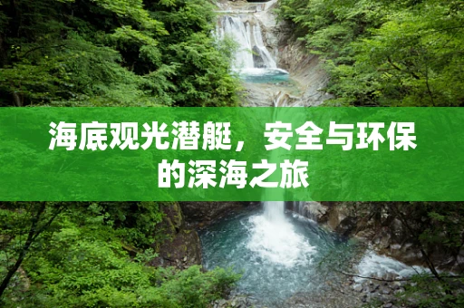 海底观光潜艇，安全与环保的深海之旅