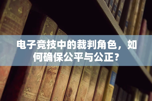 电子竞技中的裁判角色，如何确保公平与公正？