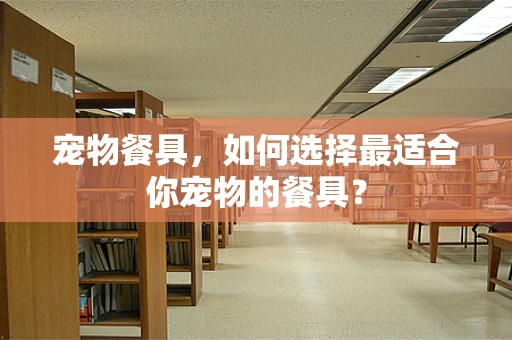 宠物餐具，如何选择最适合你宠物的餐具？