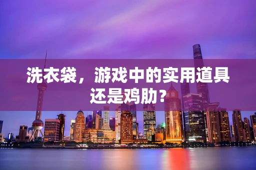 洗衣袋，游戏中的实用道具还是鸡肋？