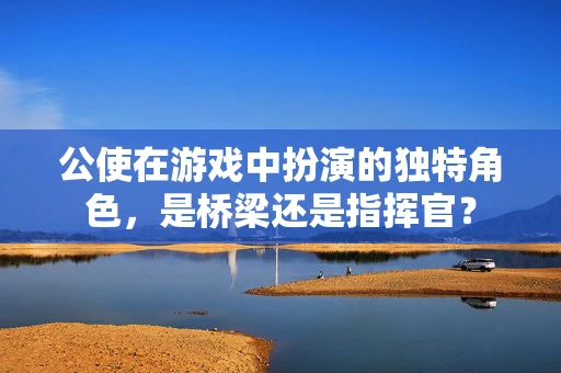 公使在游戏中扮演的独特角色，是桥梁还是指挥官？