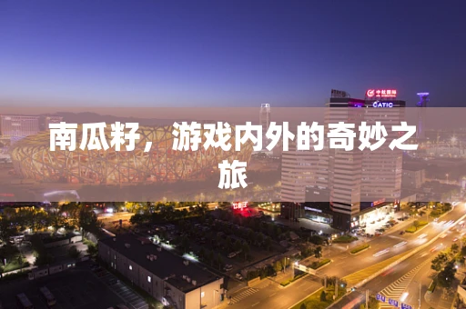 南瓜籽，游戏内外的奇妙之旅