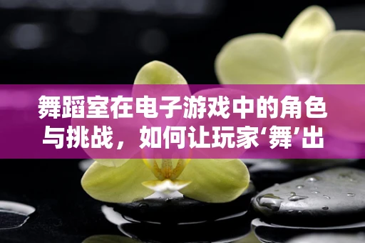 舞蹈室在电子游戏中的角色与挑战，如何让玩家‘舞’出精彩？