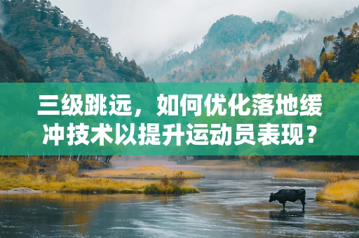 三级跳远，如何优化落地缓冲技术以提升运动员表现？