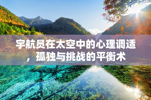 宇航员在太空中的心理调适，孤独与挑战的平衡术
