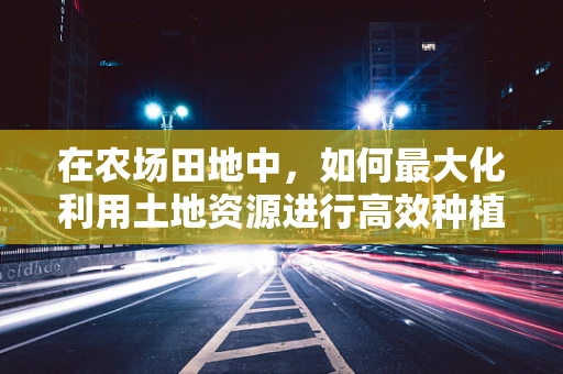 在农场田地中，如何最大化利用土地资源进行高效种植？