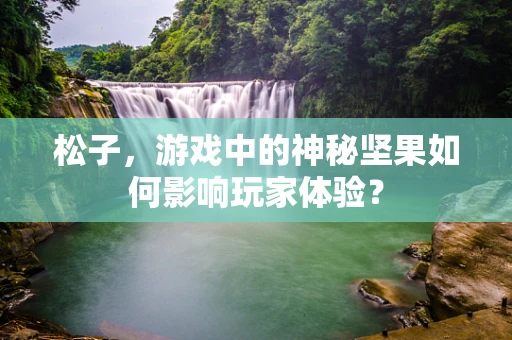 松子，游戏中的神秘坚果如何影响玩家体验？