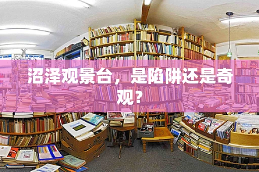 沼泽观景台，是陷阱还是奇观？