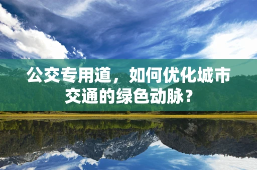 公交专用道，如何优化城市交通的绿色动脉？