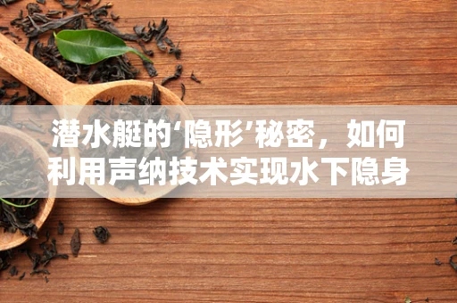 潜水艇的‘隐形’秘密，如何利用声纳技术实现水下隐身？