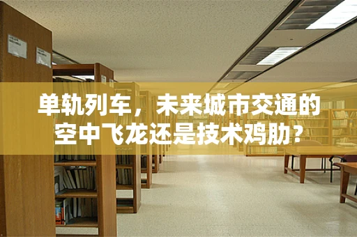 单轨列车，未来城市交通的空中飞龙还是技术鸡肋？