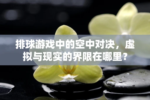 排球游戏中的空中对决，虚拟与现实的界限在哪里？