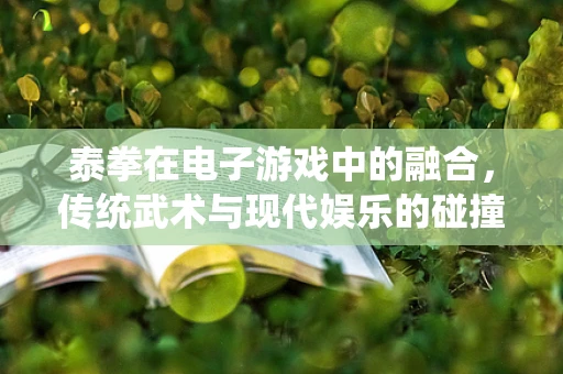 泰拳在电子游戏中的融合，传统武术与现代娱乐的碰撞