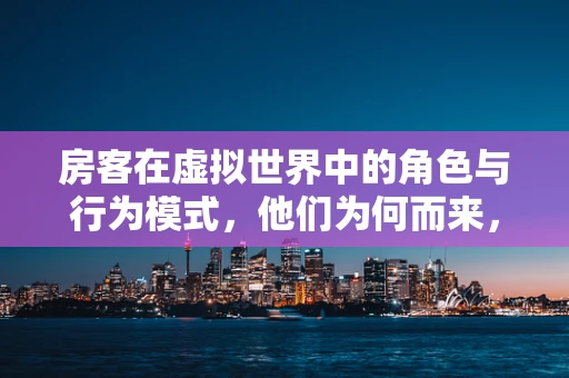 房客在虚拟世界中的角色与行为模式，他们为何而来，又为何离去？