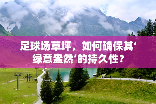 足球场草坪，如何确保其‘绿意盎然’的持久性？