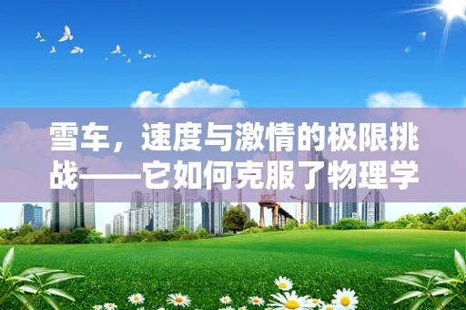 雪车，速度与激情的极限挑战——它如何克服了物理学的滑行难题？