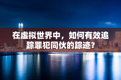 在虚拟世界中，如何有效追踪罪犯同伙的踪迹？