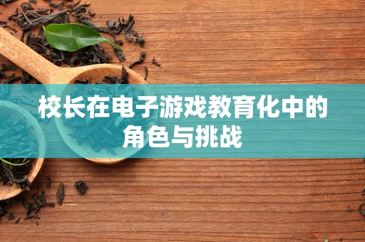 校长在电子游戏教育化中的角色与挑战