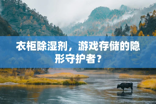 衣柜除湿剂，游戏存储的隐形守护者？