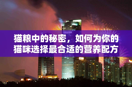 猫粮中的秘密，如何为你的猫咪选择最合适的营养配方？