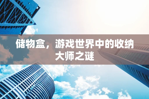 储物盒，游戏世界中的收纳大师之谜