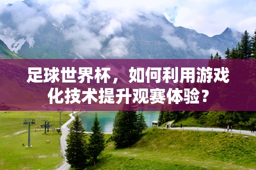 足球世界杯，如何利用游戏化技术提升观赛体验？