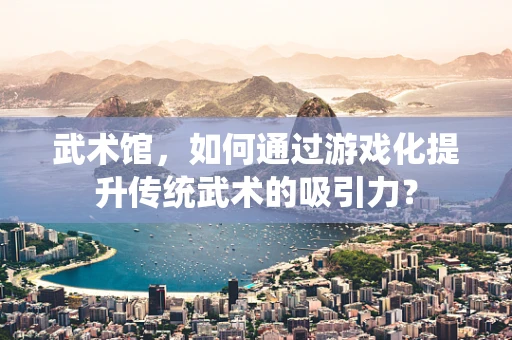 武术馆，如何通过游戏化提升传统武术的吸引力？
