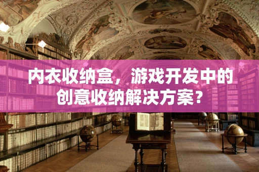 内衣收纳盒，游戏开发中的创意收纳解决方案？