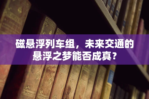 磁悬浮列车组，未来交通的悬浮之梦能否成真？